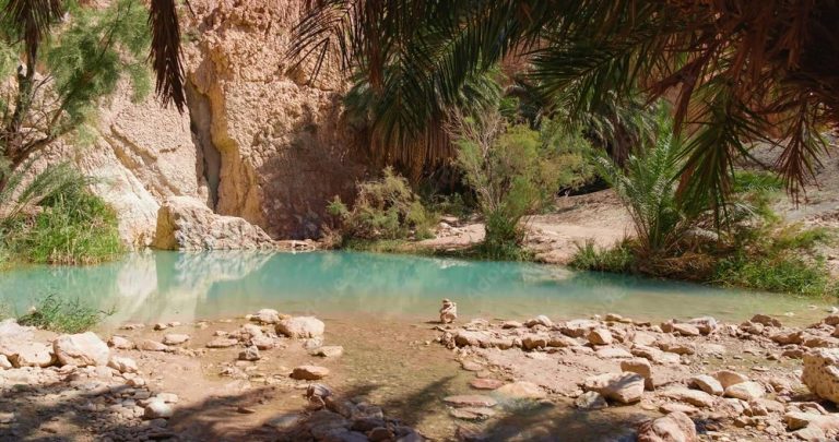 Tozeur, l&rsquo;Oasis du Désert
